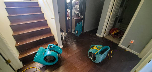 Best Mold removal after water damage  in Amador Pines, CA