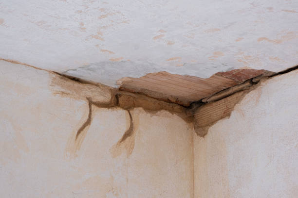Best Water damage contractors near me  in Amador Pines, CA