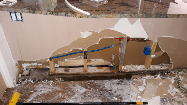 Best Ceiling water damage repair  in Amador Pines, CA