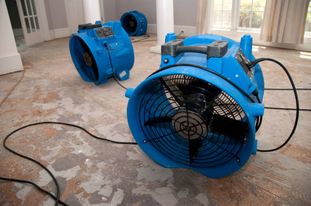 Best Water damage restoration near me  in Amador Pines, CA