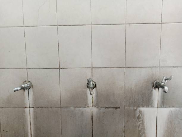 Best Water damage restoration insurance claims  in Amador Pines, CA
