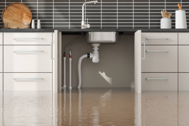Best Local water damage restoration  in Amador Pines, CA